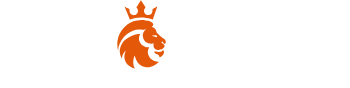 Nine Casino Logo